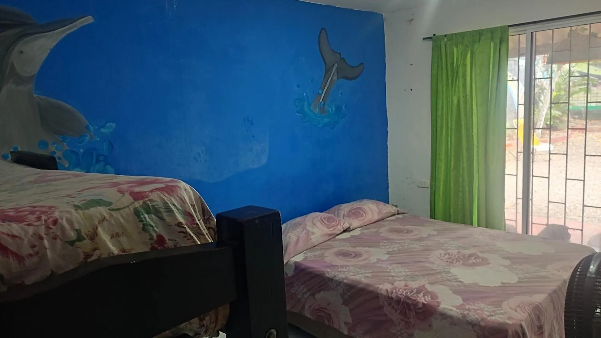 Hostal Palmeras 17 location
